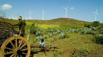 India_fields_and_wind_turbines